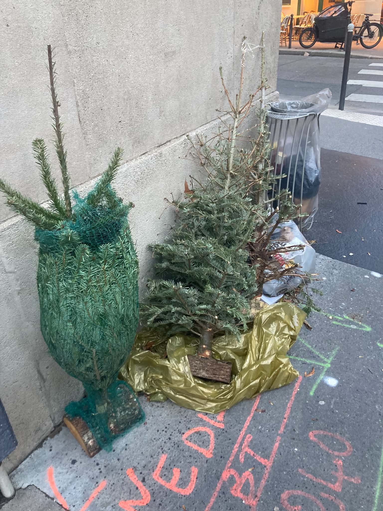 un sapin dans la rue