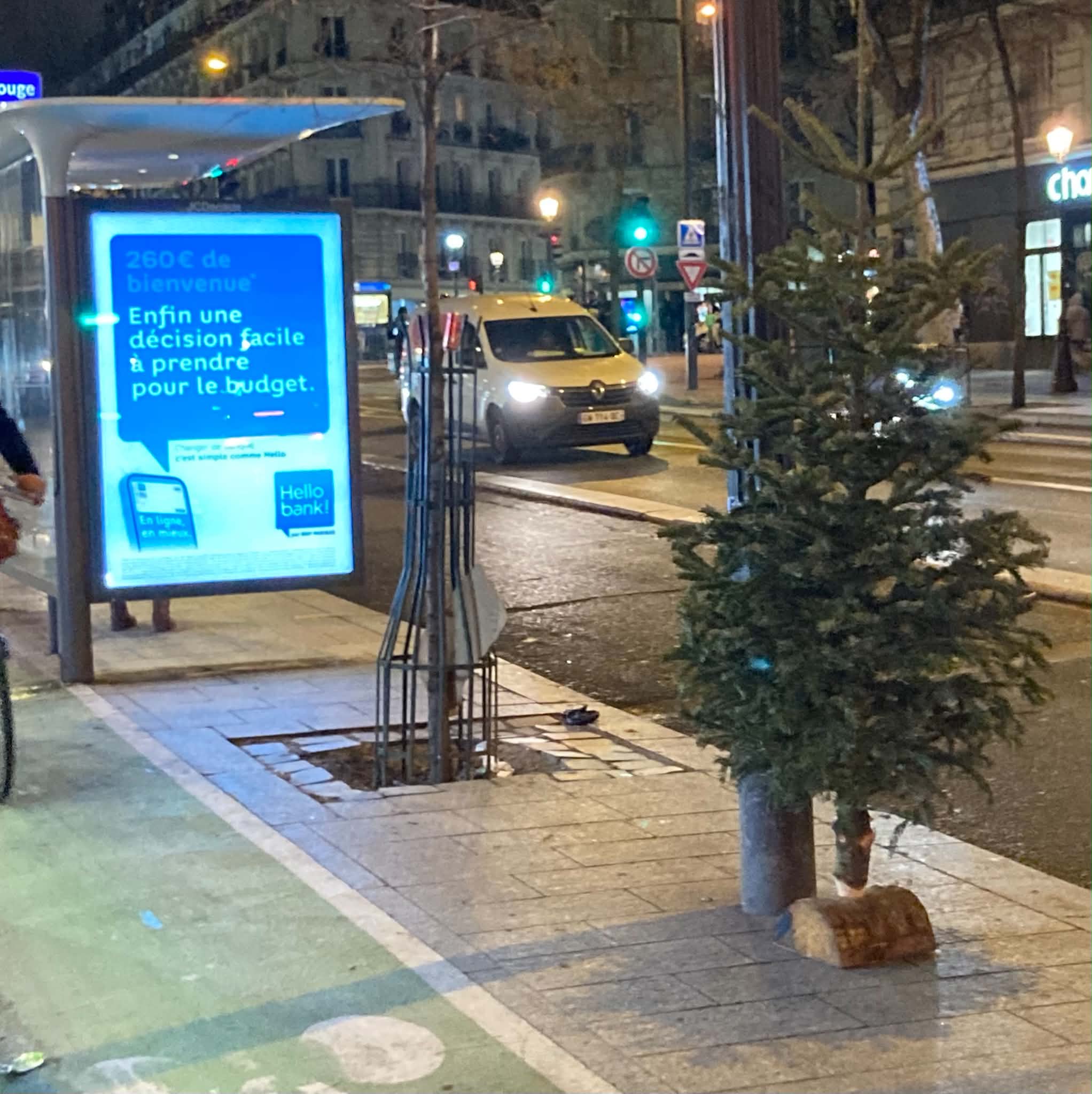 un sapin dans la rue
